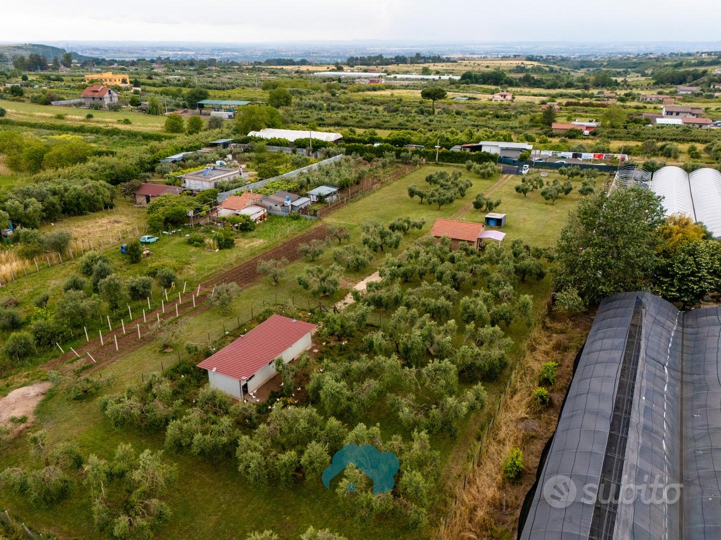 Zagarolo: terreno con rustico e azienda agricola - Vista 4
