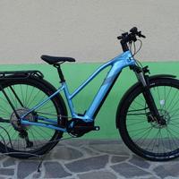 CANNONDALE Tesoro NEO X 2 Remixte (Alpine)