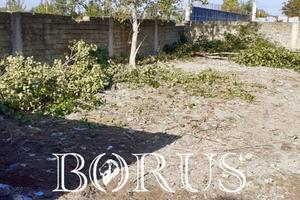 Terreno Agricolo - Casal di Principe