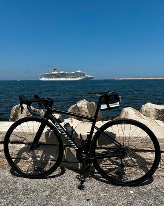 SPECIALIZED SL6 TARMAC