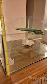 TARTARUGARIO PER TARTARUGHE D'ACQUA