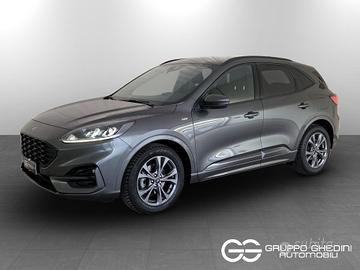 FORD Kuga III 2020 - Kuga 1.5 ecoblue Titanium Bus