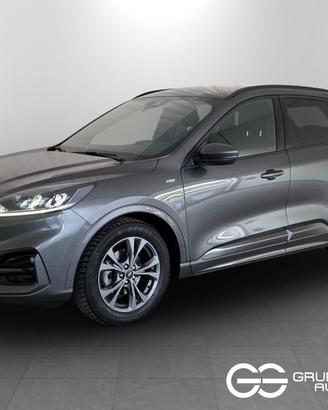 FORD Kuga III 2020 - Kuga 1.5 ecoblue Titanium Bus