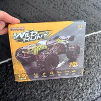 Macchina radiocomandata