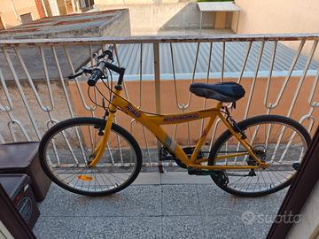 Mountain bike