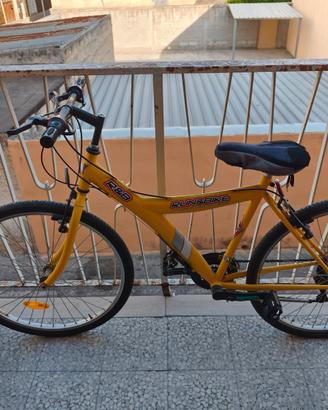Mountain bike