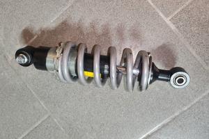 Monoammortizzatore triumph street triple 675 