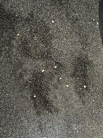 Ghiaietto nero per fondo acquario