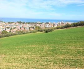 TERRENO AGRICOLO COLLINARE SUL MARE