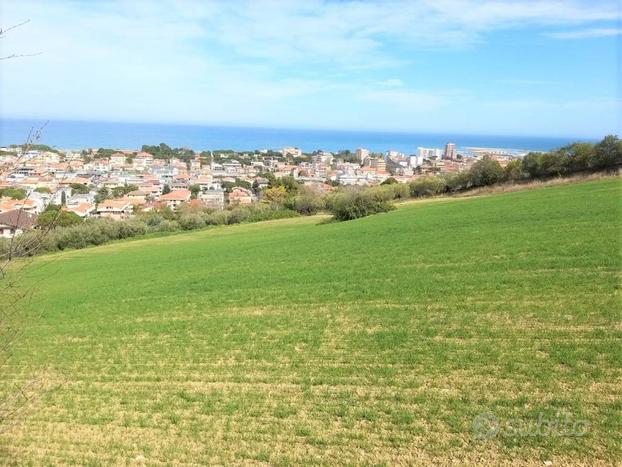 TERRENO AGRICOLO COLLINARE SUL MARE