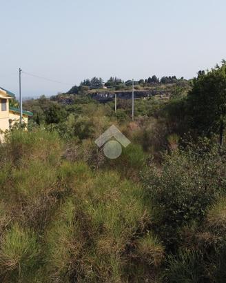 TER. AGRICOLO A MASCALI