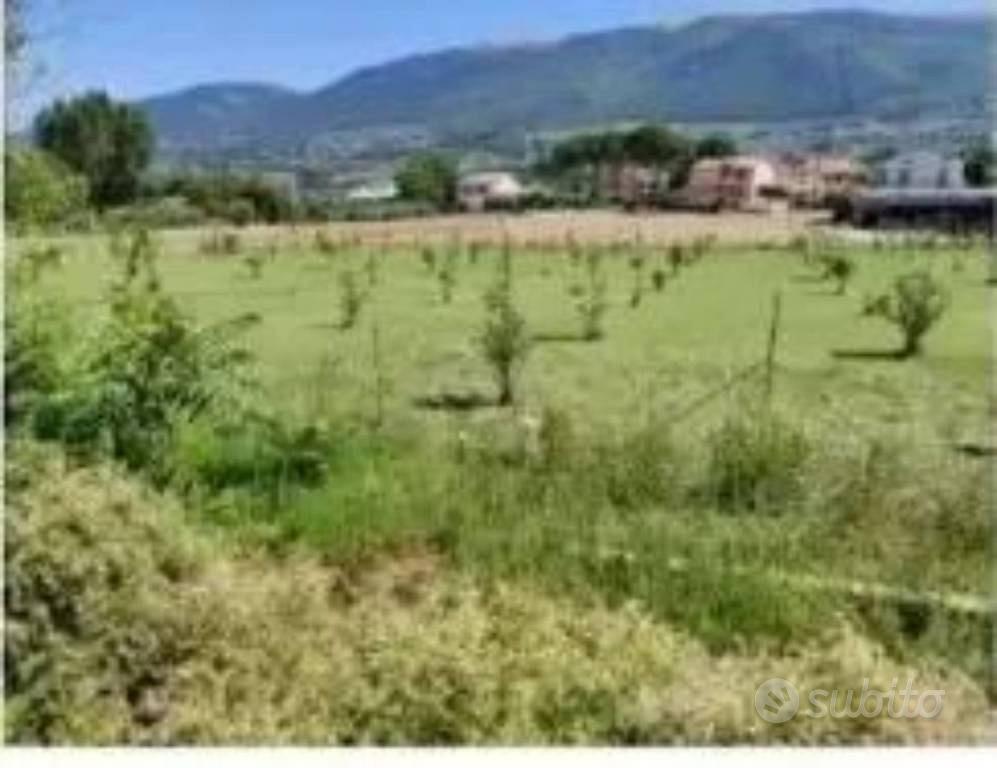 Immobile in asta di 1050 m² a Spello - Vista 4