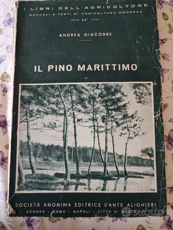 Usato, Il pino marittimo - A. Giacobbe 1942 usato  Firenze