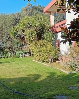 Ampia Villa Padronale Singola: Un Gioiello unico