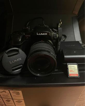 Panasonic Lumix GH4