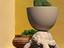 Immagine 2