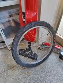 ruota di bici 20"