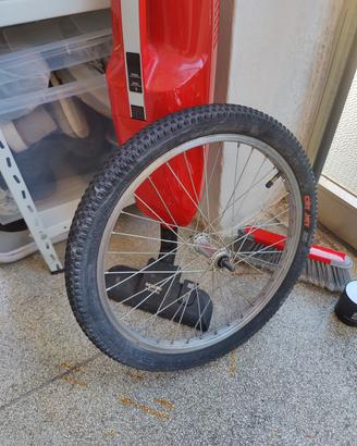 ruota di bici 20"