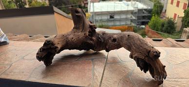legno per acquario