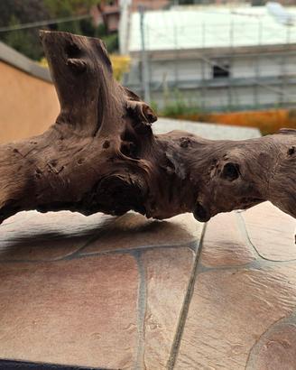 legno per acquario