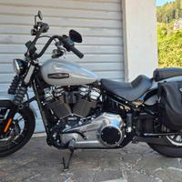 Harley Davidson Softail Street Bob 117 -My 2025