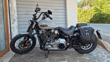 Harley Davidson Softail Street Bob 117 -My 2025