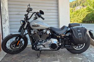 Harley Davidson Softail Street Bob 117 -My 2025