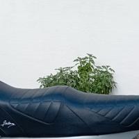 sella jankee vespa px