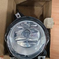 1304005 Fendinebbia Ford