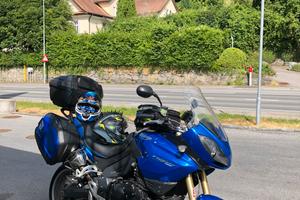 TRIUMPH TIGER 1050 2006 ASI