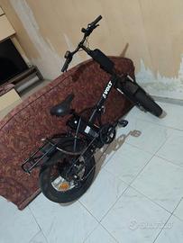 bici elettrica 