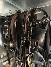 Finimento per cavalli