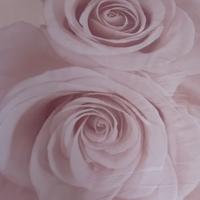 SACCO COPRIPIUMINO MATRIMONIALE ZUCCHI