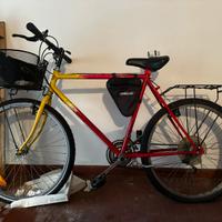 Bicicletta mountain bike