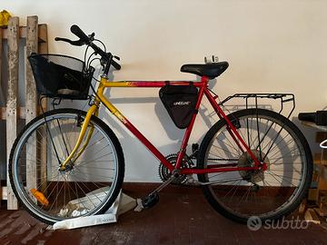 Bicicletta mountain bike