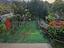 Immagine 26