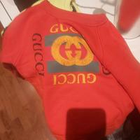 felpa di gucci