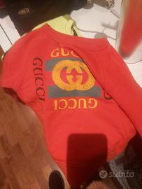 felpa di gucci