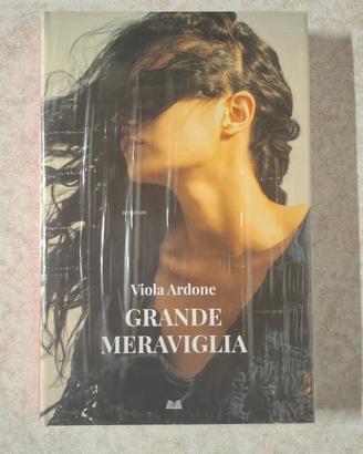 Grande Meraviglia di Viola Ardone 