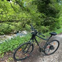 Bici trekking RIVERSIDE 700 grigio-arancione -