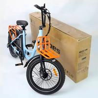 Bici elettrica a pedalata assistita fat bike NUOVA