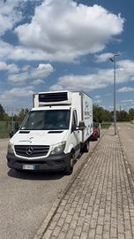 Furgoni frigo atp