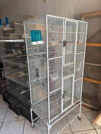 Gabbia per uccelli