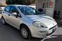 fiat-punto-1-4-8v-5-porte-natural-power-street