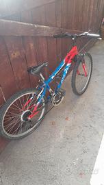 bicicletta bambino 24