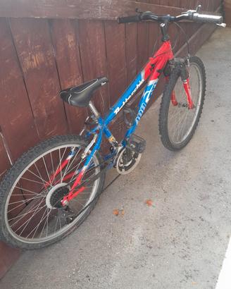 bicicletta bambino 24