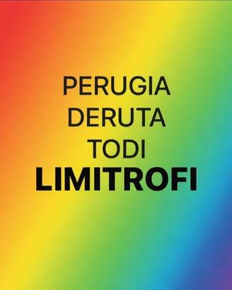 Lavoro annuale o DURATURO per serio e automunito