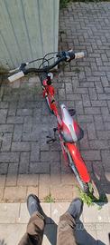 bici bambino 20 pollici 