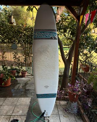 Tavola Bic Surf Mini Malibu