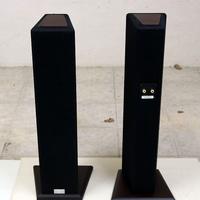 ASTRI AUDIO Taurus T2 Merope Noce/Nero casse 100W